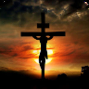 Meet your Posher, Bryson